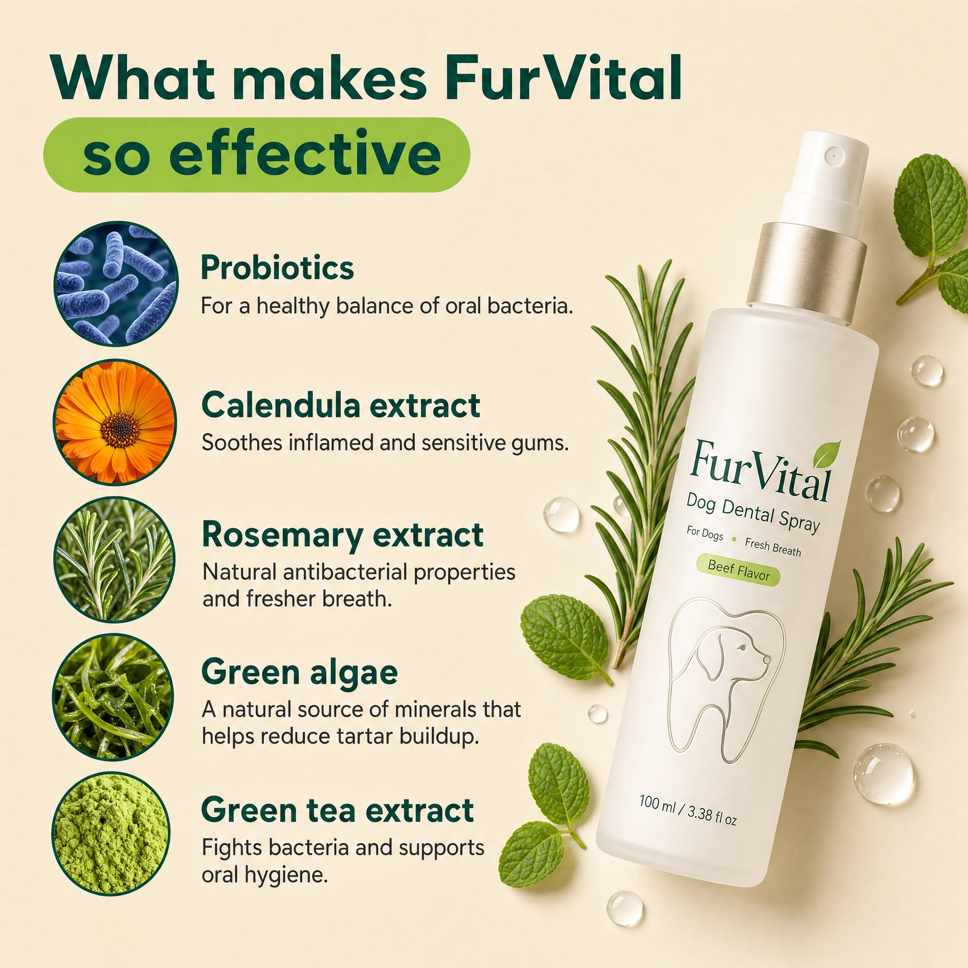 Furvital Dental Spray ™ - Eliminates root causes of bacteria that lead to tartar and bad breath